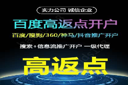 谷歌竞价案例：跨境电商广告投放策略